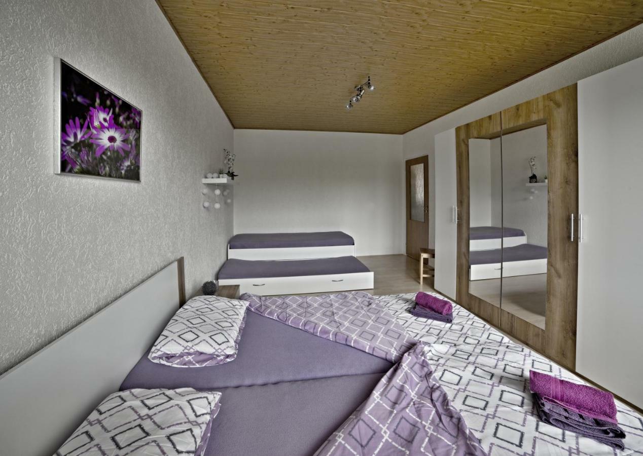 Apartmany 2+1 U Klinovce Kovarska Bagian luar foto
